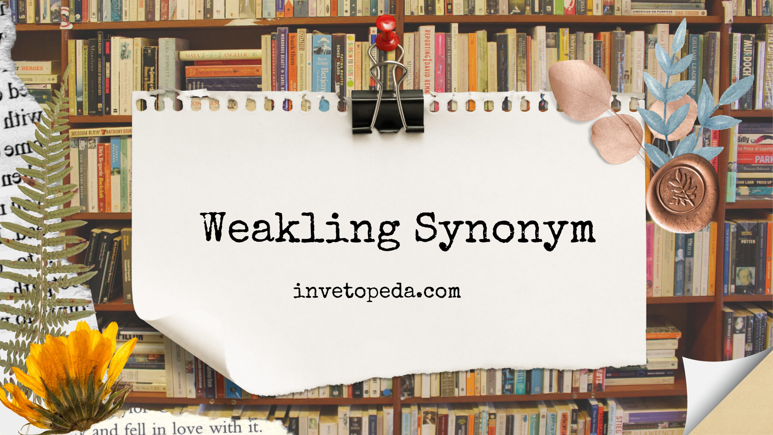 Weakling Synonym