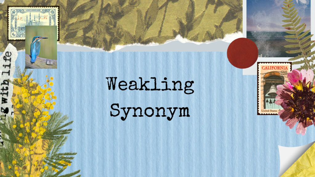 Weakling Synonym